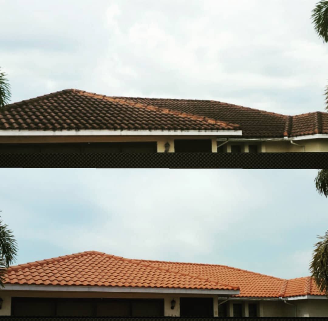 Terracotta barrel-tile roof dulled by algae above and bright orange tile below after cleaning