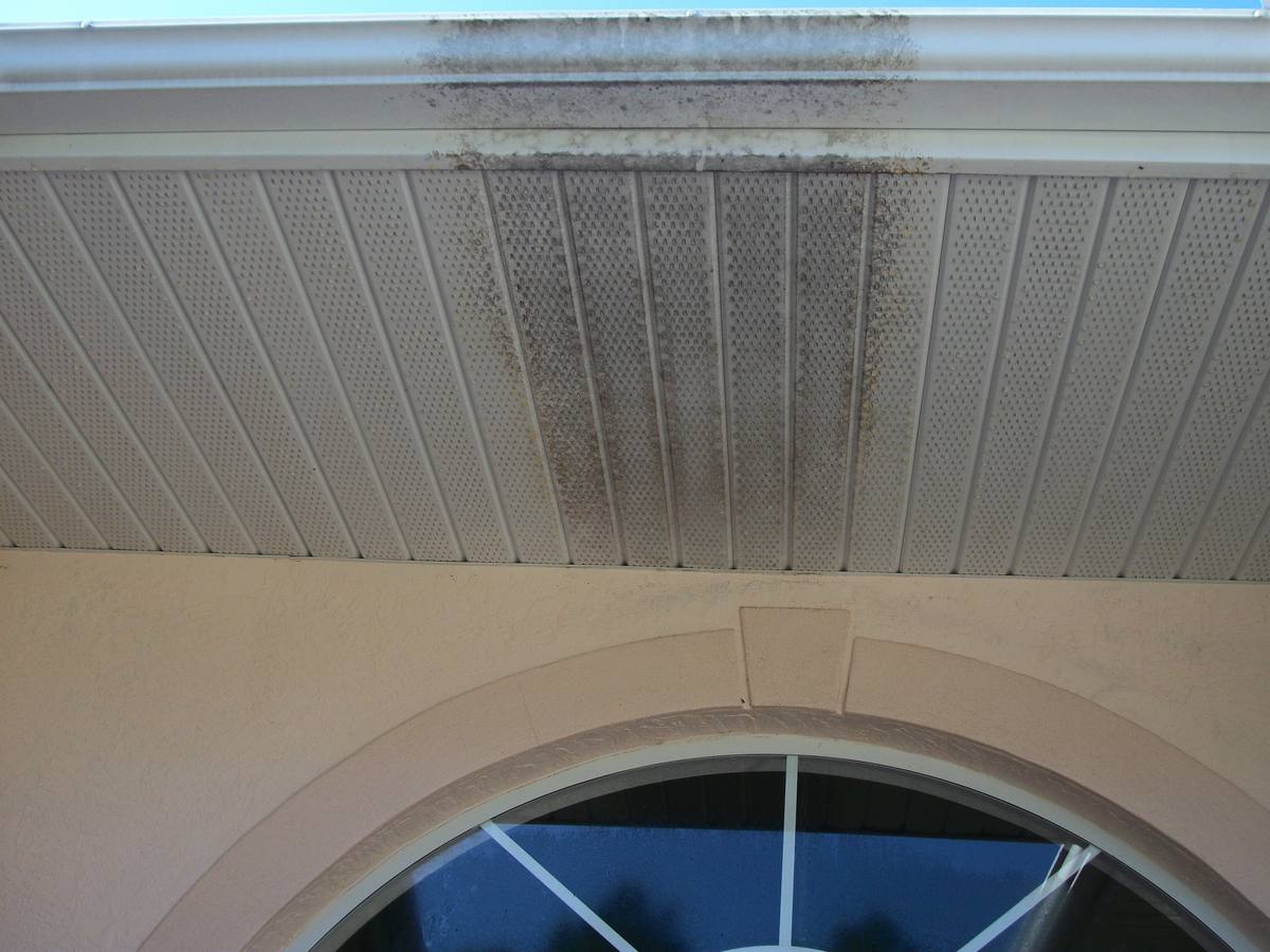 Soffit, fascia and gutter photographed part-cleaned with mildew still visible on the right